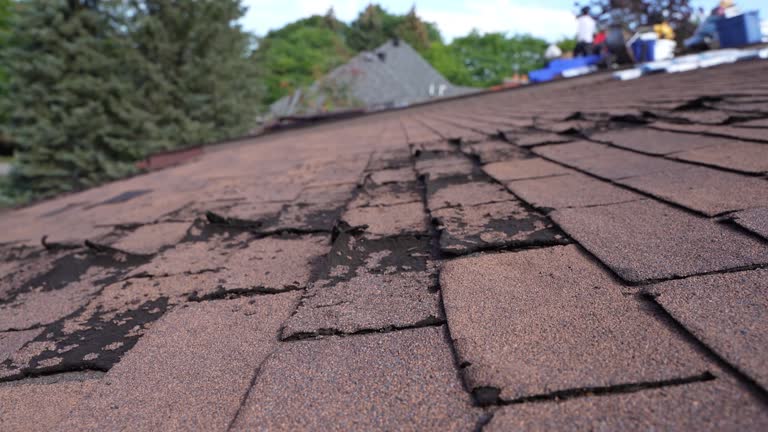 Best Chimney Flashing Repair  in Pleasant Hill, TX