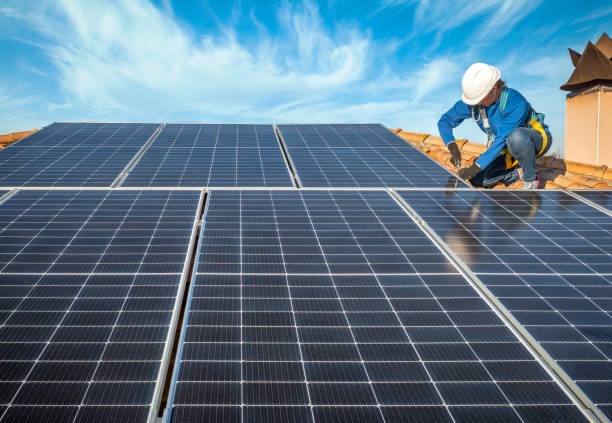 Best Roof Moss and Algae Removal  in Pleasant Hill, TX