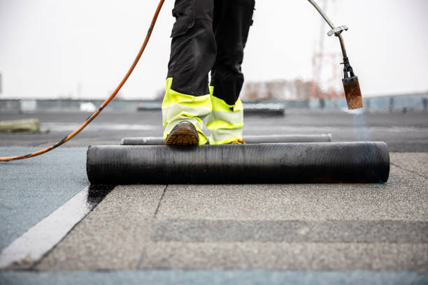 Best Solar Panel Roofing Installation  in Pleasant Hill, TX