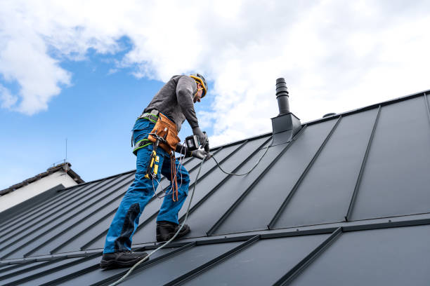 Best Steel Roofing  in Pleasant Hill, TX