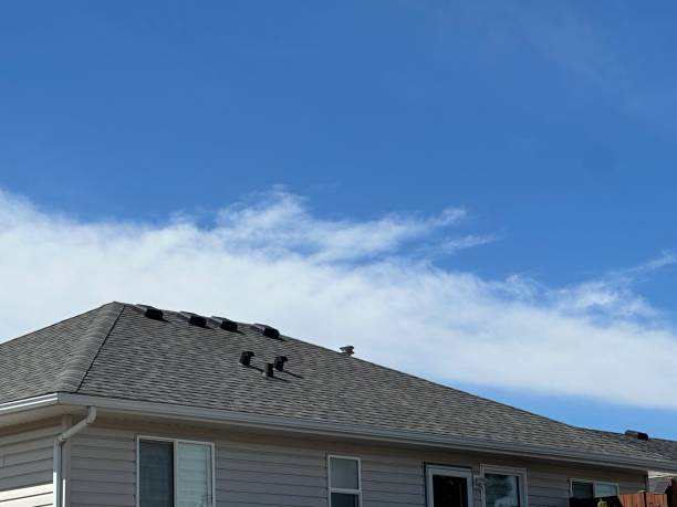 Best Metal Roofing Installation  in Pleasant Hill, TX